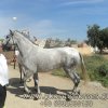 adsc05260