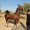 adsc04602