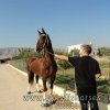 adsc04620