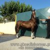 adsc04651