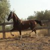 adsc04658