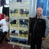 Άλλες Φωτογραφίες - FieraCavalli Verona2013