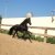 DSC00184_resize