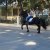 image007_resize