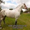 FB_IMG_1605178660455