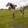 FB_IMG_1605178686040