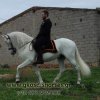 FB_IMG_1605180314888